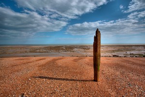 shadow in the desert