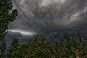 storm clouds over trees