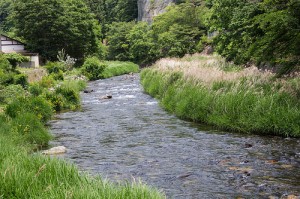 river flowing with green banks