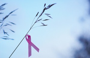 pink ribbon hanging on a reed